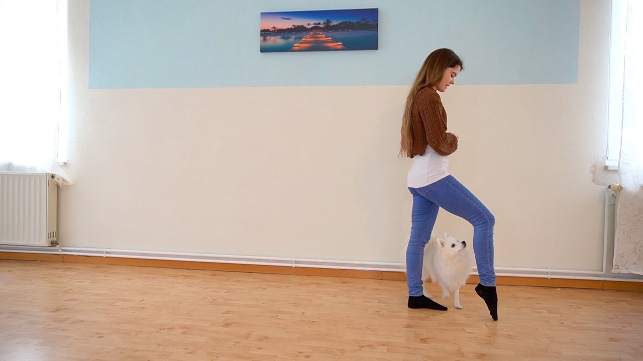 Hundetrick | Zick Zack | Slalom | Dog tricks | Dog Dancing