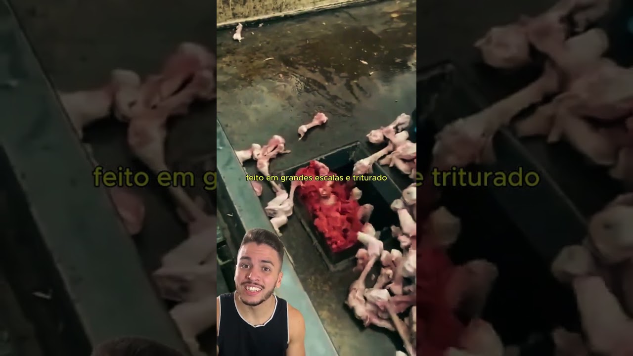 Como realmente s&atilde;o feita as salsichas...  #salsicha #lingui&ccedil;a #carne #curiosidades
