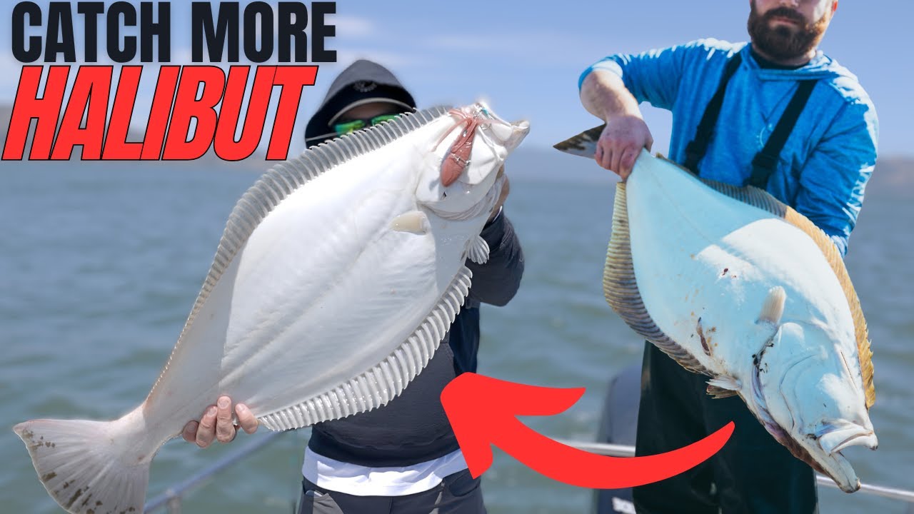 How to catch California Halibut [EXPLAINED]