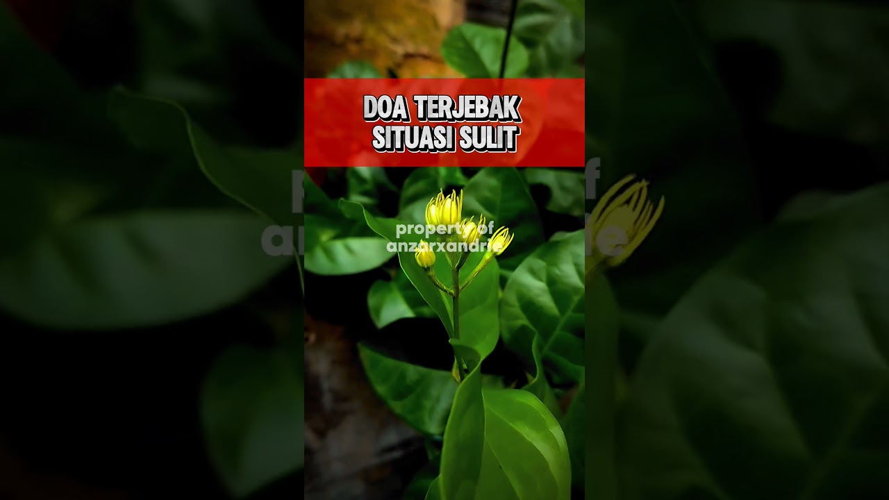 doa saat sulit #dzikir #doa