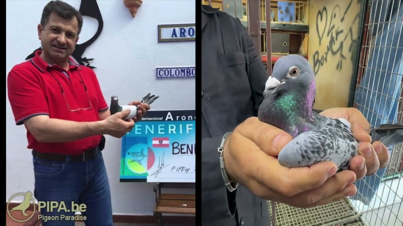 Birisi Bu Adamı Durdursun Şampiyon Gökhan Tunca