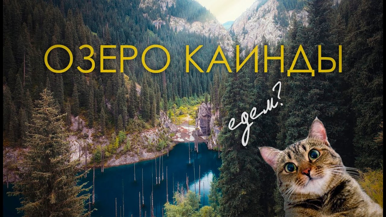 Стоит ли посещать озеро КАИНДЫ? Атмосферный тревел-влог при участии 🐈 (Часть 2)