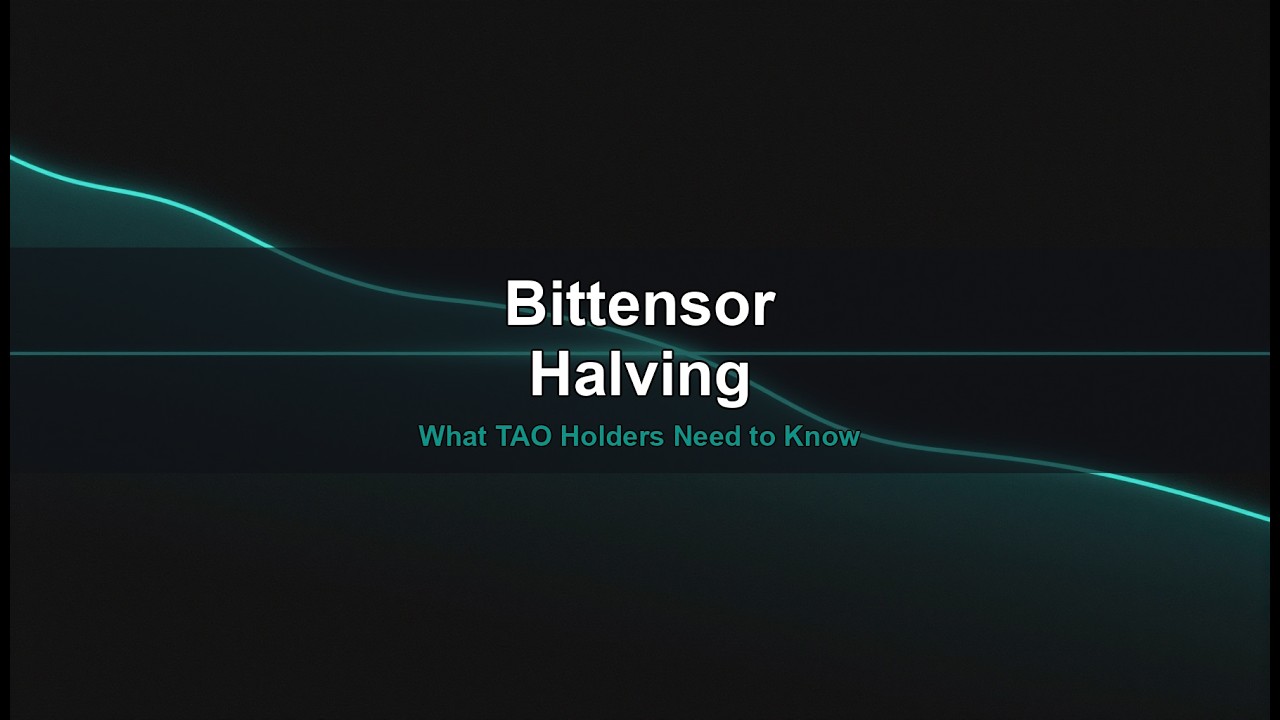 Bittensor Halving: What TAO Holders Need to Know