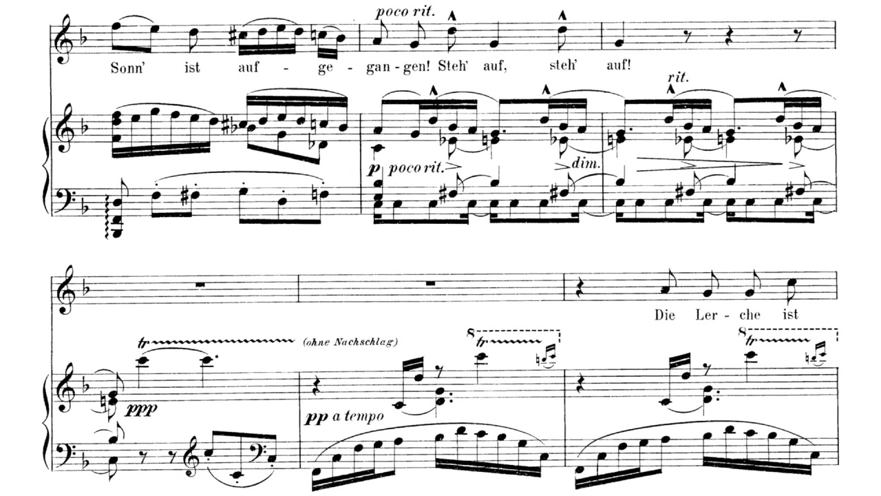 Frühlingsmorgen(G. Mahler)반주 Piano Accompaniment