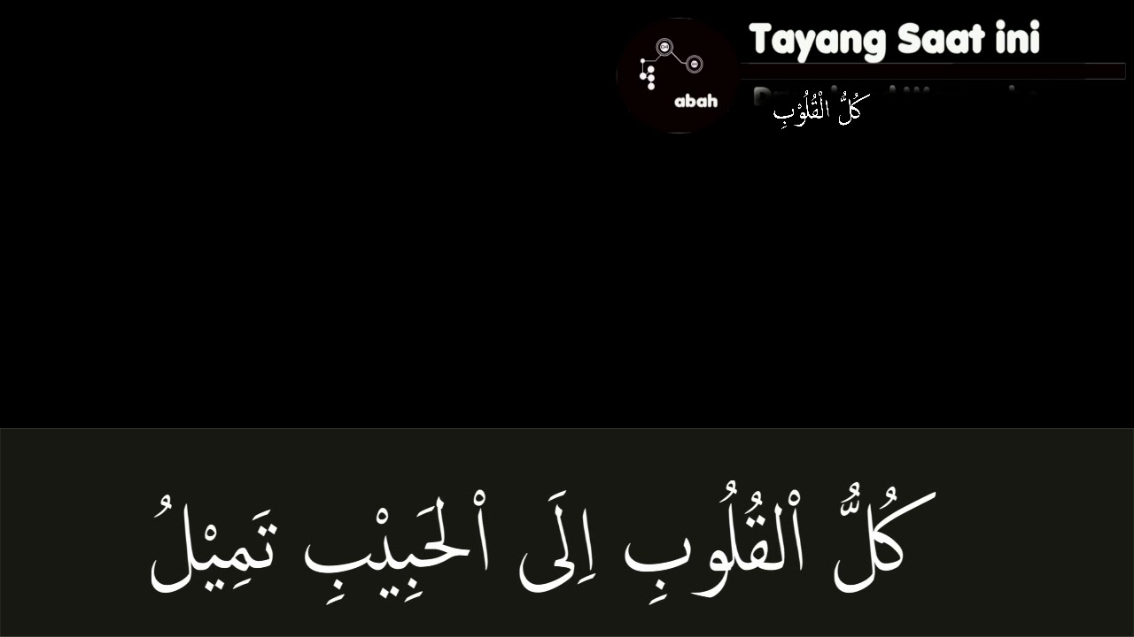 qulul qulub buat syechermania