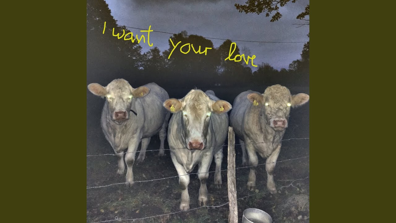 I Want Your Love
