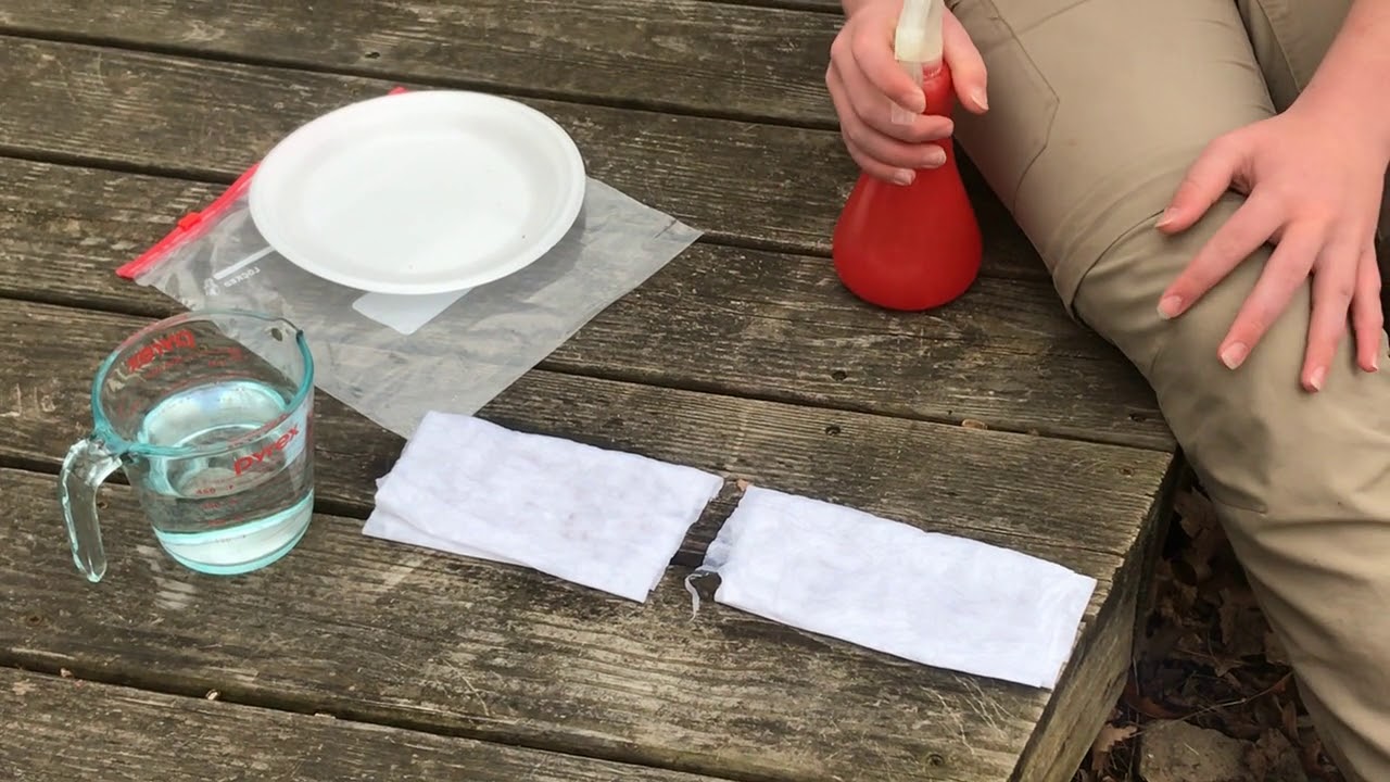 Episode 4 - Earning Honors at Home - Rag Doll Seed Tester