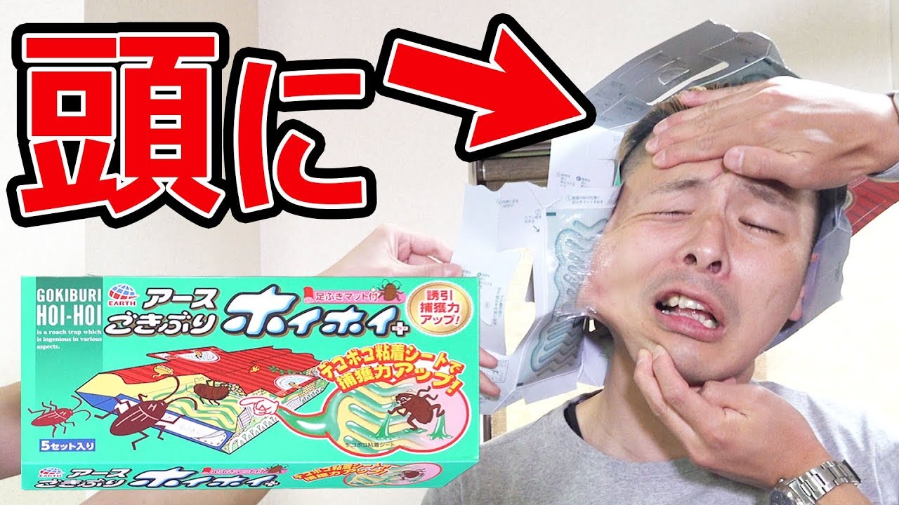 【ドッキリ】頭にゴキブリホイホイつけたら大事故にwww