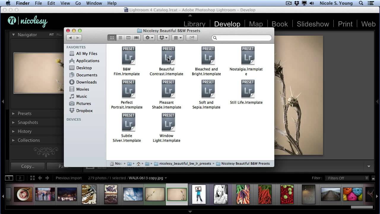 Nicolesy Store: Installing Lightroom Presets
