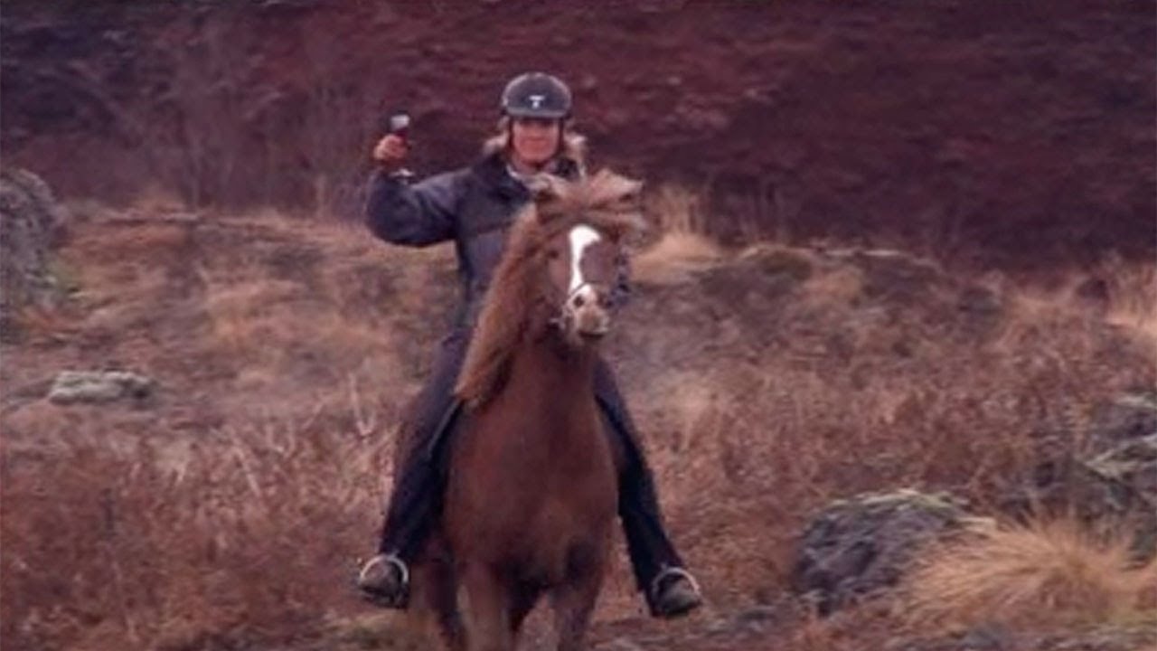 Animales por el mundo: caballos islandeses
