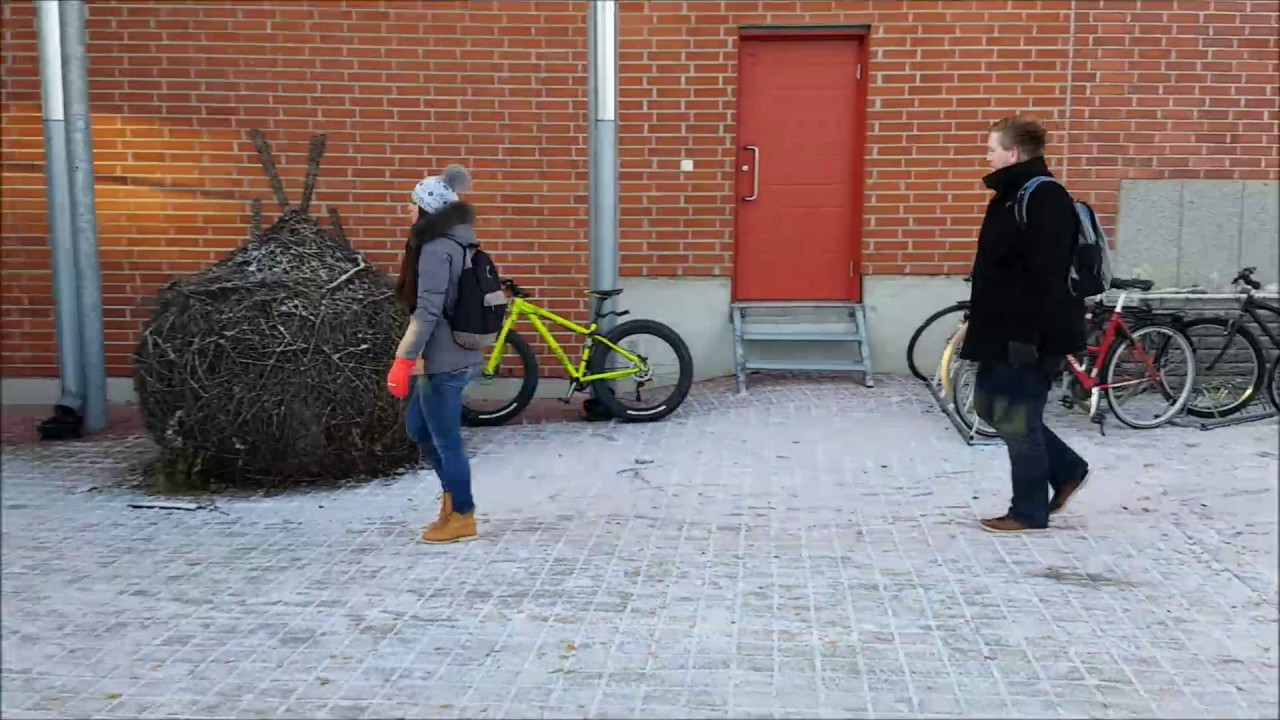 STUDYING IN FINLAND | Exchange students in Lapland