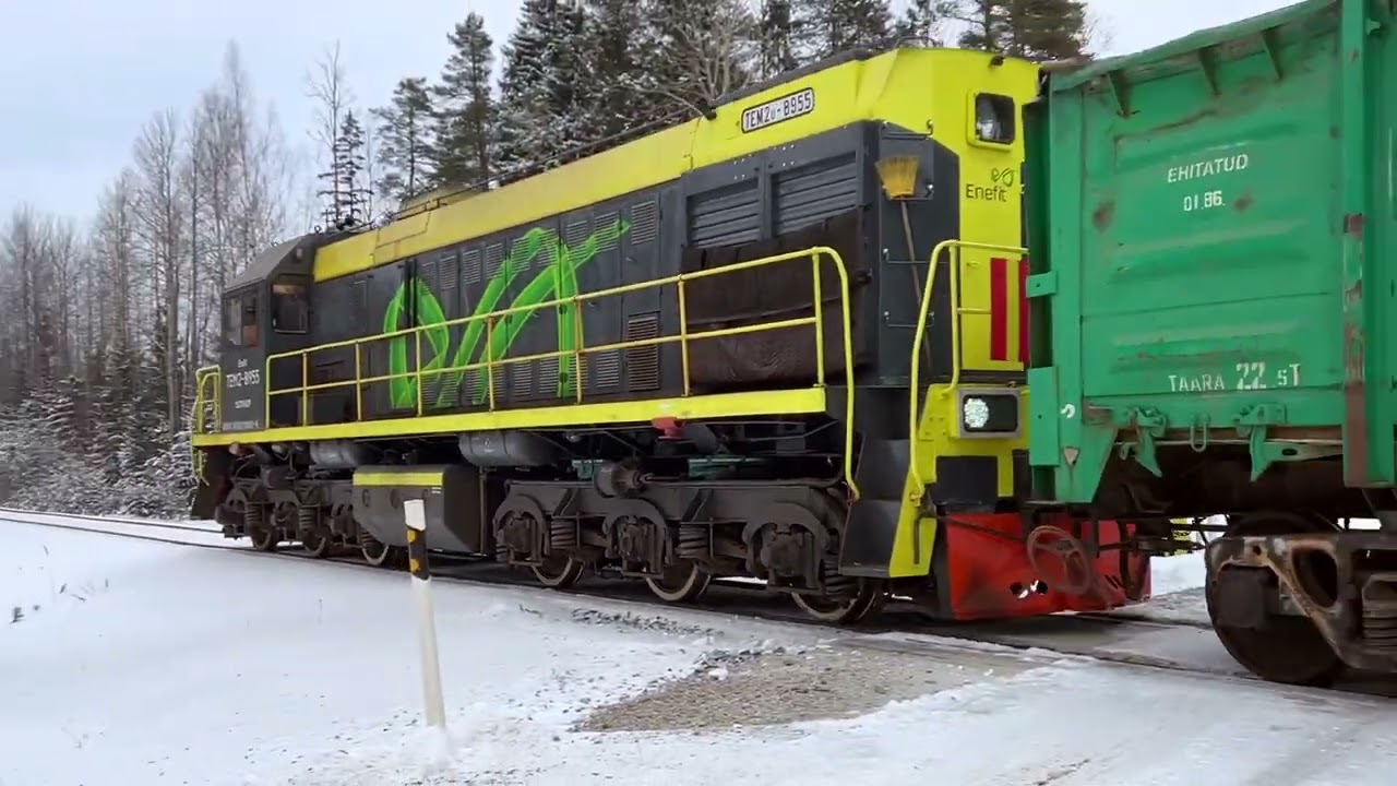 ТЭМ2У-8955 на перегоне Ахтме-Рауди/ TEM2U-8955 between Ahtme and Raudi stations