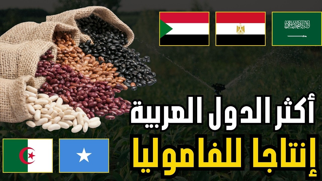 🌱 من يتصدر إنتاج الفاصولياء الجافة (اللوبيا)؟ | ترتيب الدول العربية حسب إنتاج الفاصولياء(FAO 2026)