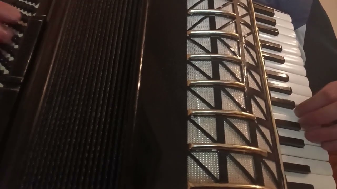 Nedzad Salkovic Imam samo pjesmu (cover)