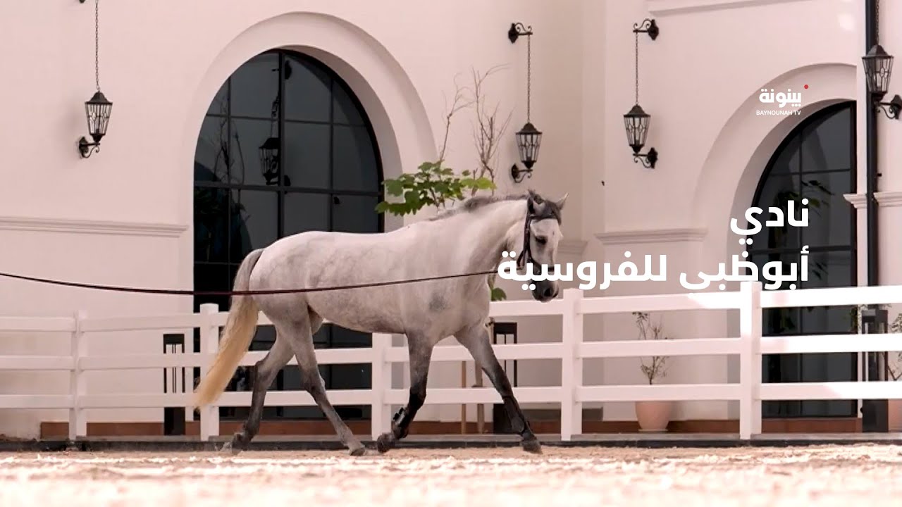 نادي أبوظبي للفروسية.. مسيرة طويلة تحتضن فعاليات بارزة في الدولة والمنطقة
