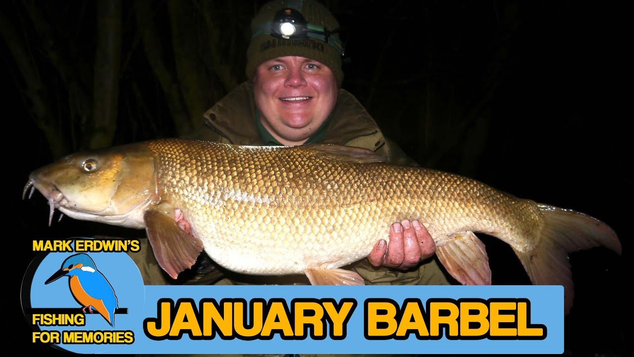 Chub fishing the river Loddon - Big Barbel Chub & Trout (Video 49)