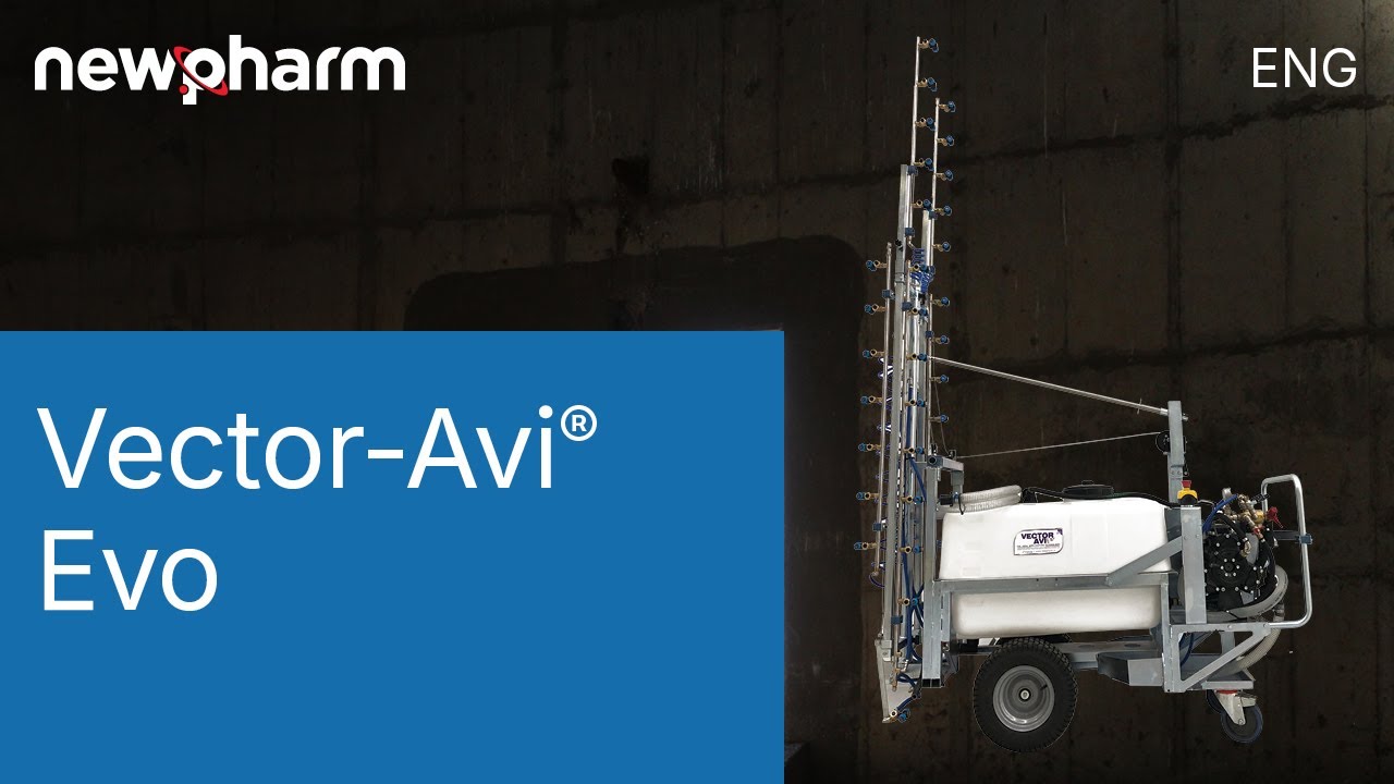 VECTOR-AVI® EVO (English)