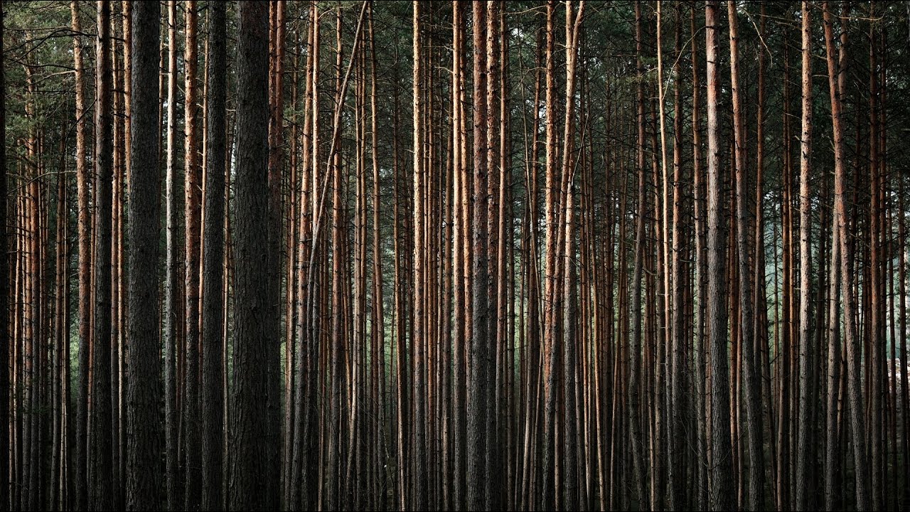 Peklo u Nového Města nad Metují :: Fotovlog # 159 :: Krajinářská fotografie