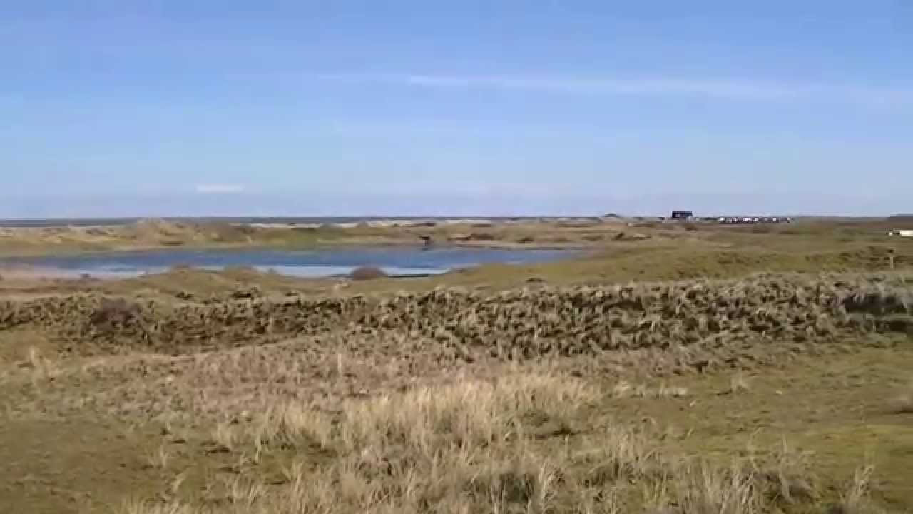 Waddeneiland Texel