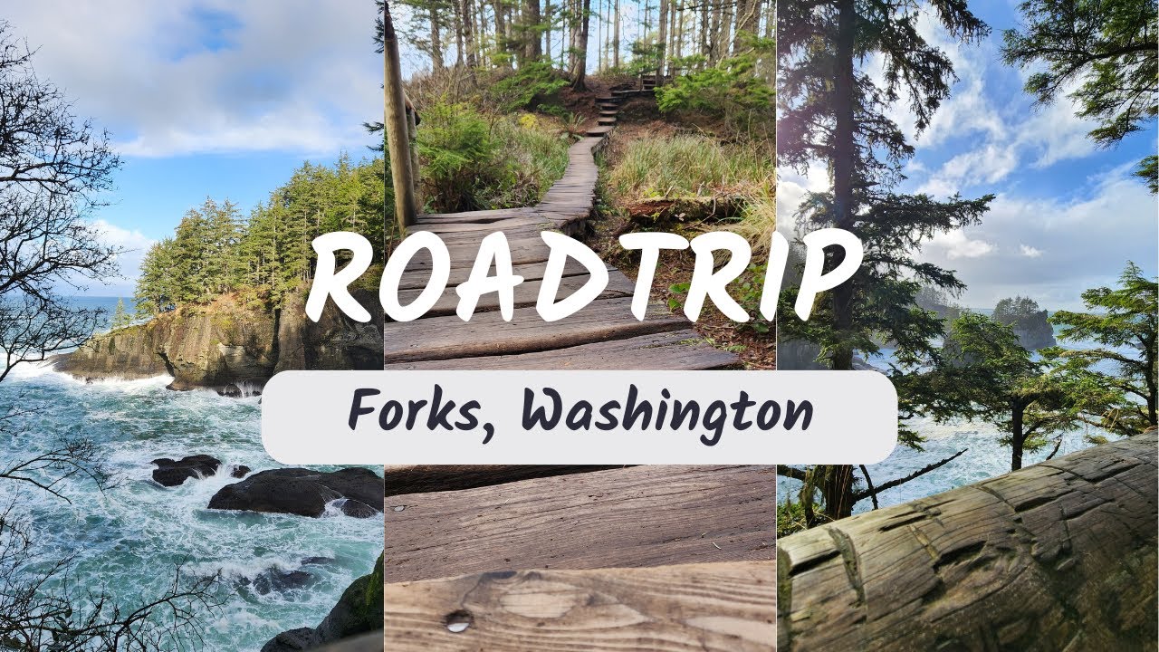 Forks, WA Roadtrip | Kiana Daily