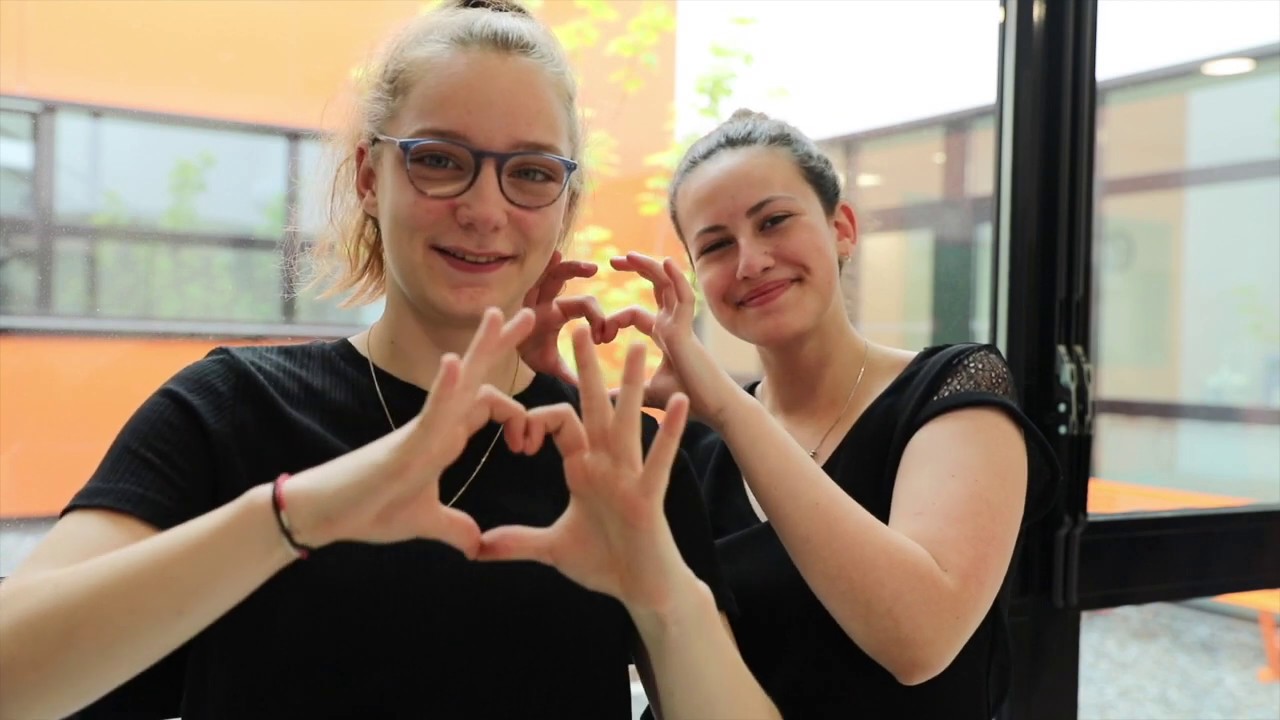 Les Enfoirés - On trace (en Langue des Signes Française) - Lycée A. Varoquaux -2019