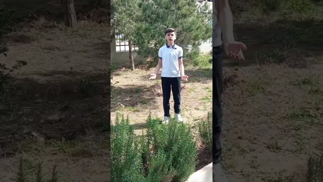 Ətraf mühit və yaşıl enerji layihəsi