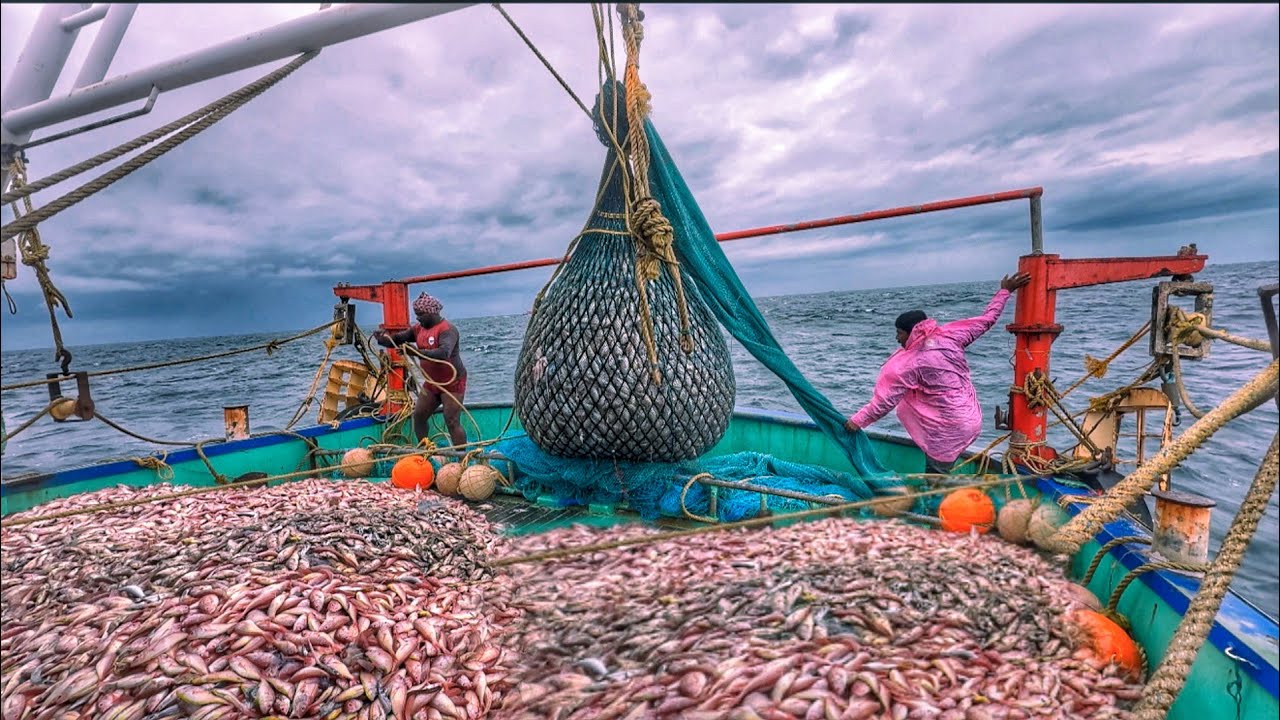 MASSIVE FISHING EVER 😳!! 5th Day Deep Sea Fishing | Boat Filled With Killi Fish Catch | UNCUT VIDEO 