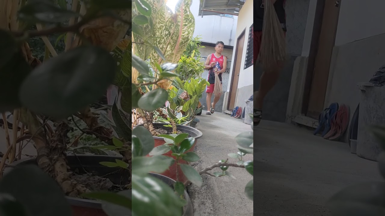 #dayoffvlog #cleaning