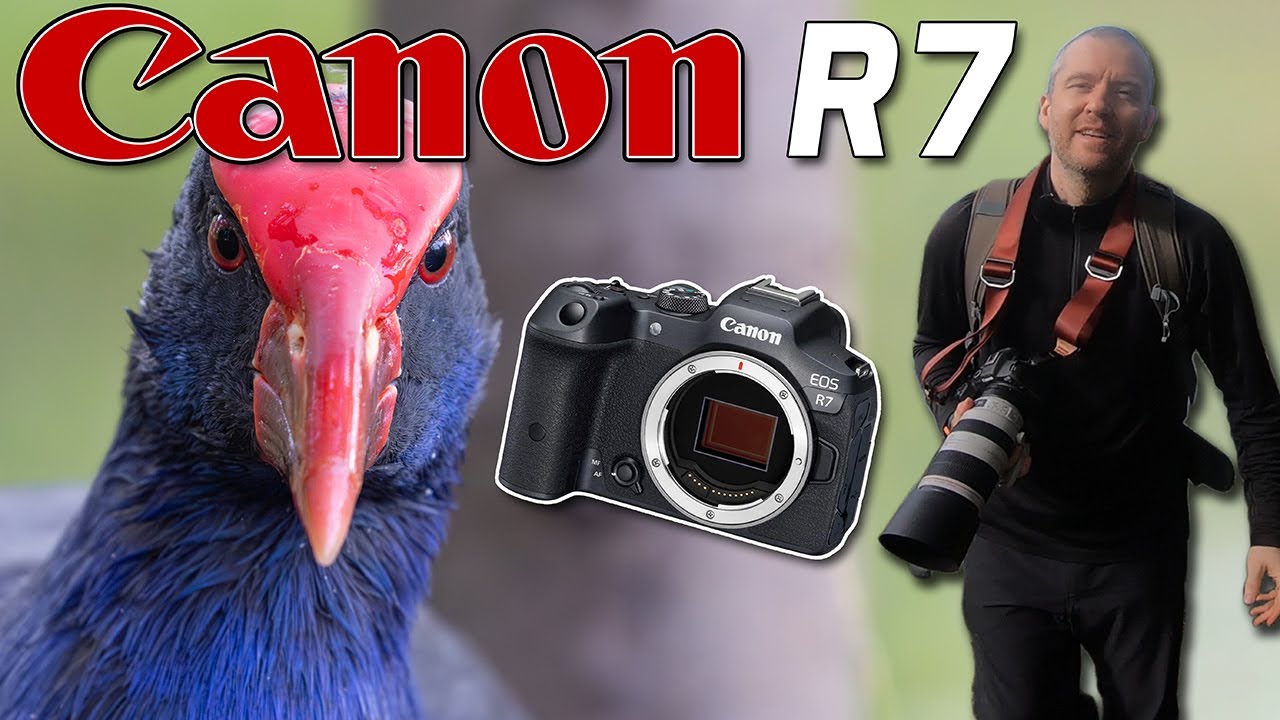 Canon R7 & EF 100-400 II Bird Photography with my Favourite Setup