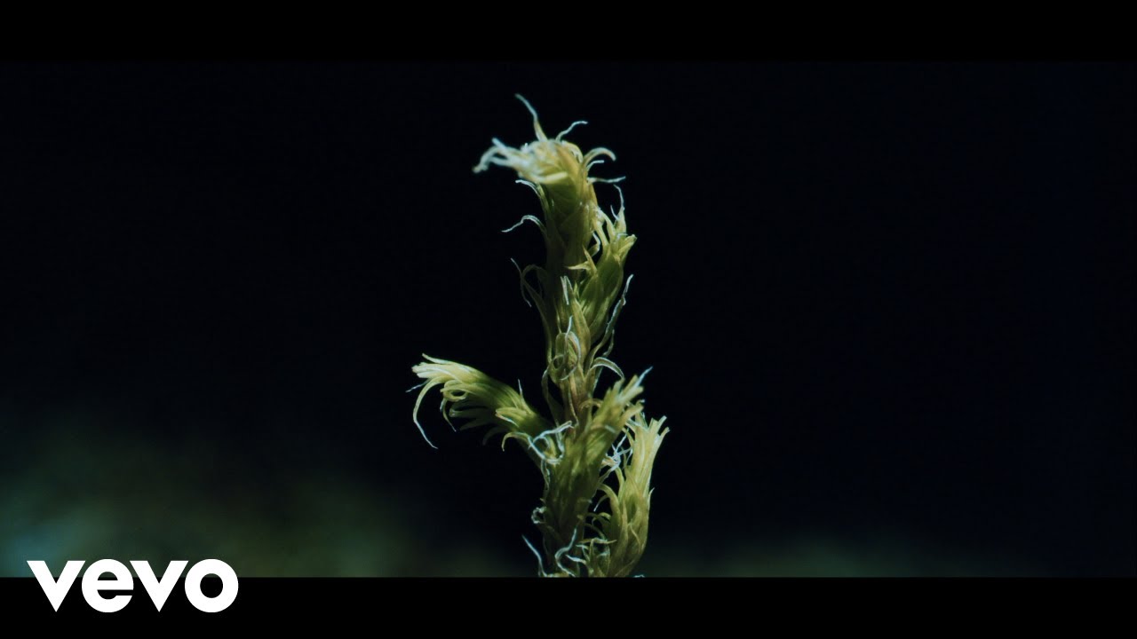 &Oacute;lafur Arnalds - New Grass