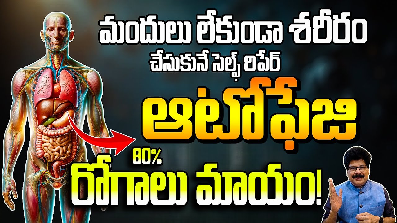 మందులు లేకుండా శరీరం చేసుకునే సెల్ఫ్ హీలింగ్ – ఆటోఫేజి | How Your Body Repairs – Autophagy Secret