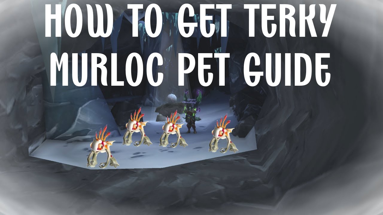 How To Get Terky Murloc Pet | World Of Warcraft