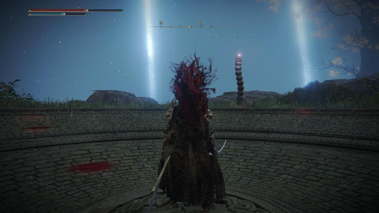 ELDEN RING - Black Knife Tiche Fight