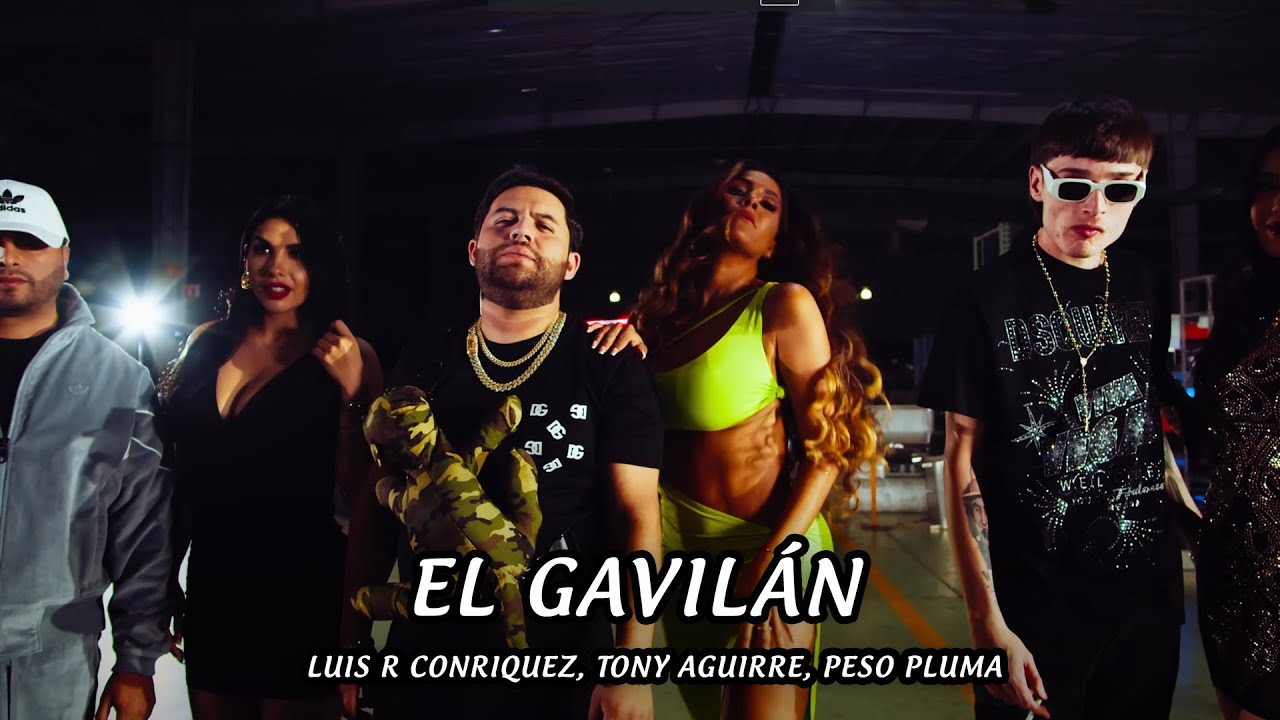 Luis R Conriquez, Tony Aguirre, Peso Pluma - El Gavilán (Letra/Lyric)