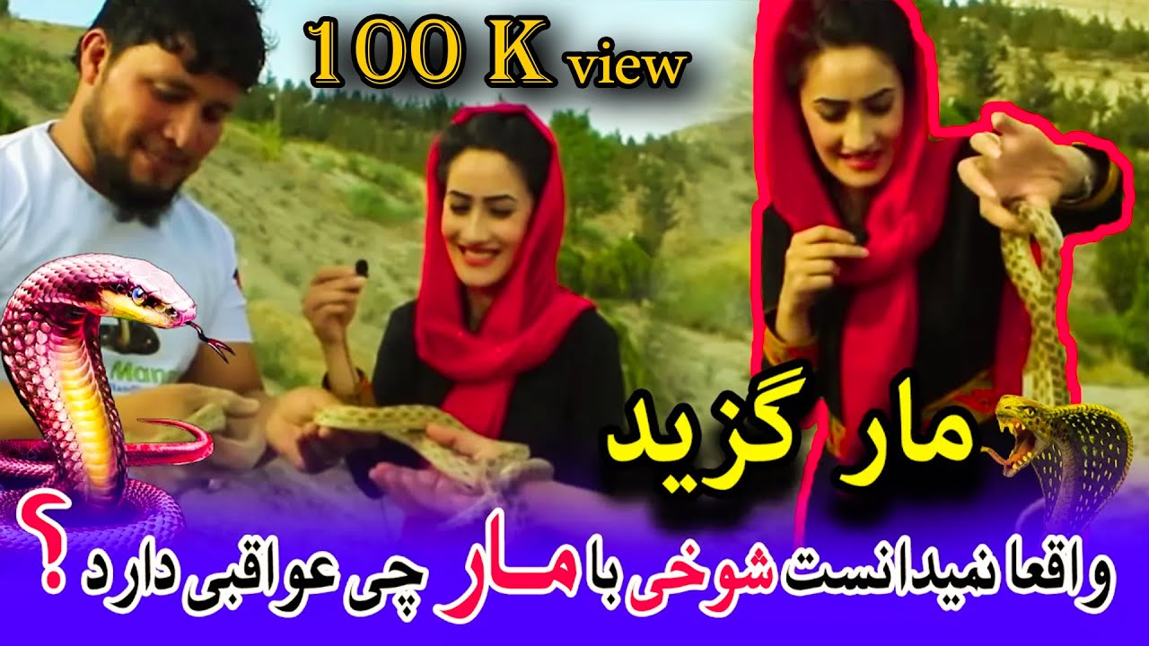 SNAKE # lion Manger#Scorpion#روینا با علی رضا مارگیر و بصیر مارگیر