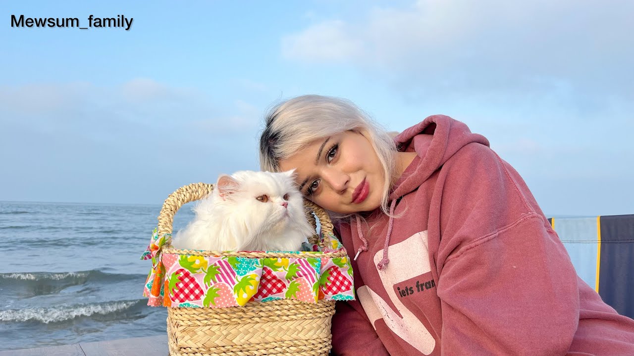 My cat was confused when she saw the sea for the first time[dogs barking](sea asmr sound)(meowwalk)