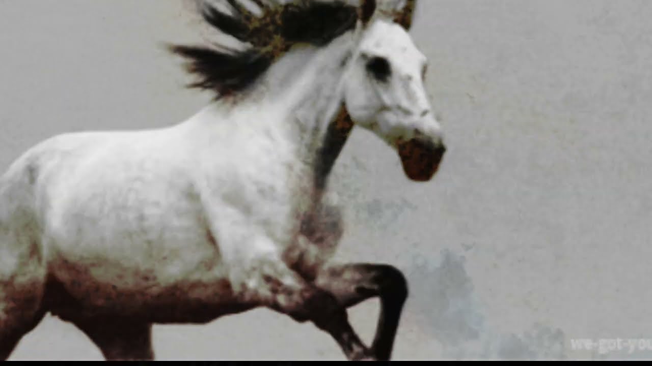 Space Horse (James Wesson Remix) - Botar