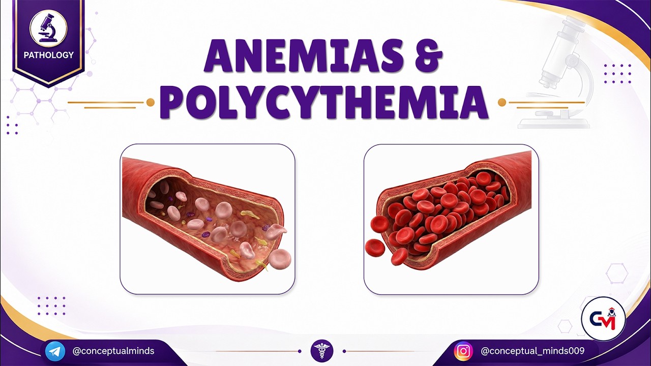 1. Anemias & Polycythemia Explained 🩸 | Hematopathology for Usmle / FMGE and MBBS