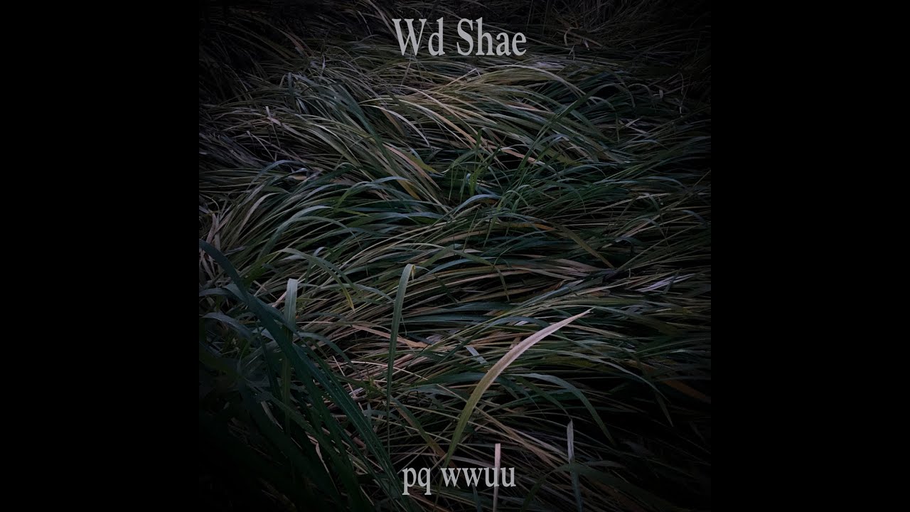 Wd Shae - pqwwuu [Full Album] May 2023