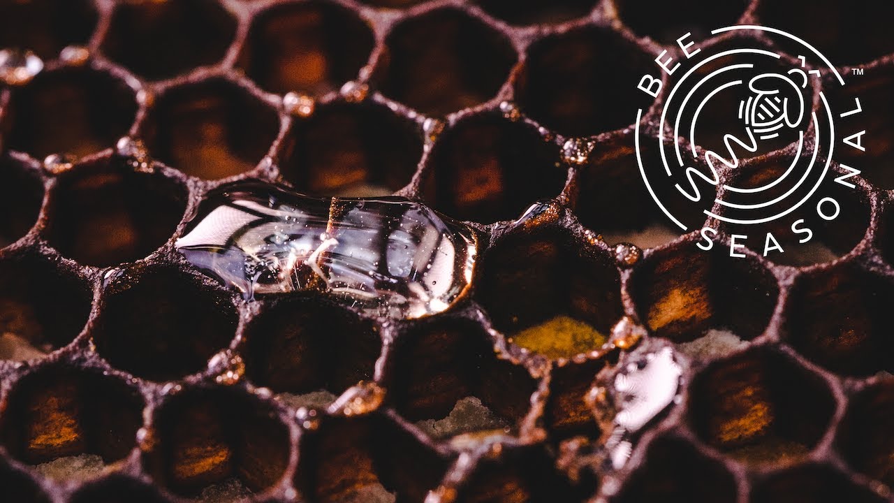 The Best Organic Raw Honeys From Around The World - Bee Seasonal