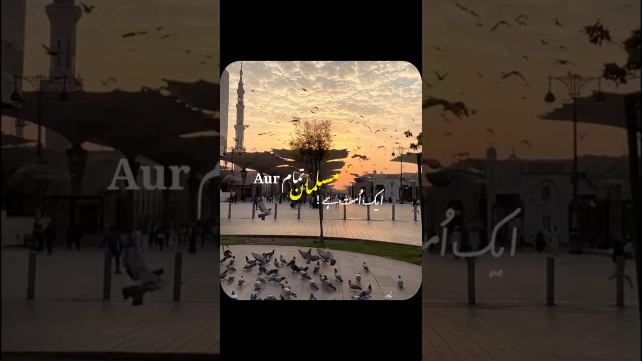 The Last Khutbah Of Prophet Muhammad ﷺ  #urdu #explore #novel #edit