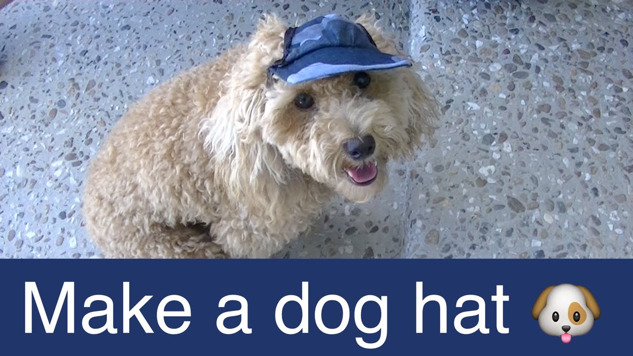 Make Dog Visor Hat-Cap-DIY Dog Food/Groom/Clothes - a tutorial by Cooking For Dogs