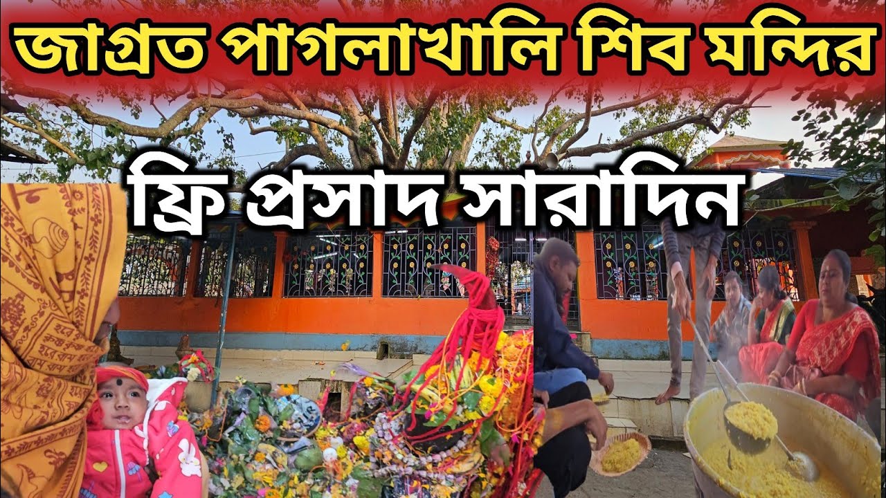 paglakhali mandir ||  ভোগপ্রসাদ সম্পূর্ণ বিনামূল্যে || Majdia paglakhali shiv mandir || 