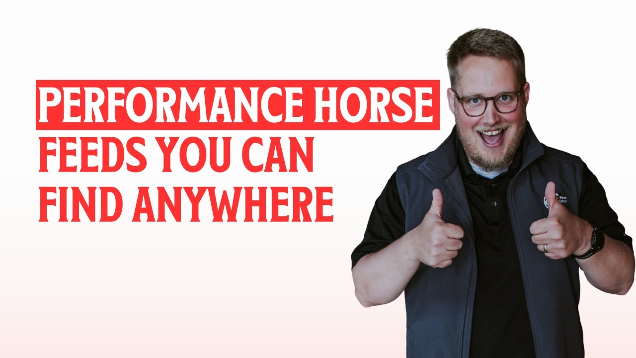 Performance Horse Feeds You Can Find Anywhere