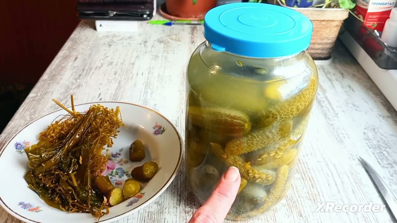 Бочковые огурцы. Ответы на вопросы.