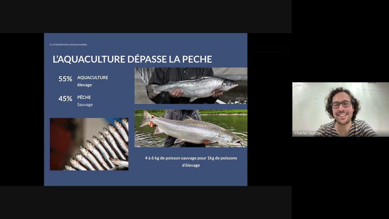 Webinaire : La p&ecirc;che durable et Poiscaille