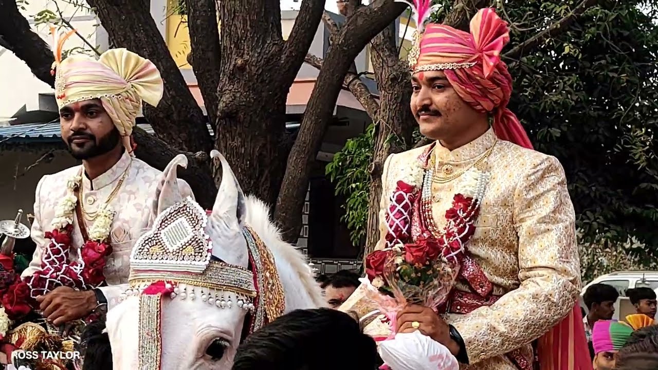 નિકુલભાઈ નો વરઘોડો (હરસોલી)