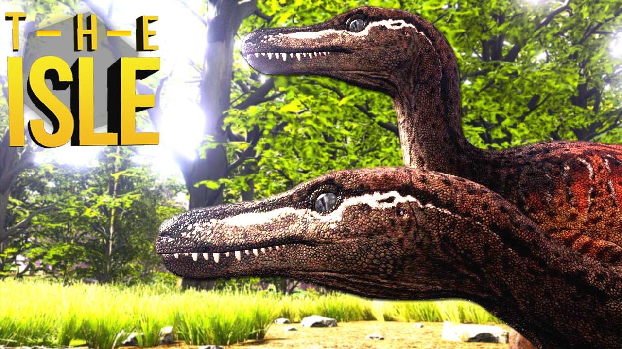The Isle - Caçando Com Velociraptor, Caçando Em Bando! | Dinossauros Caçando (#101) (PT-BR)