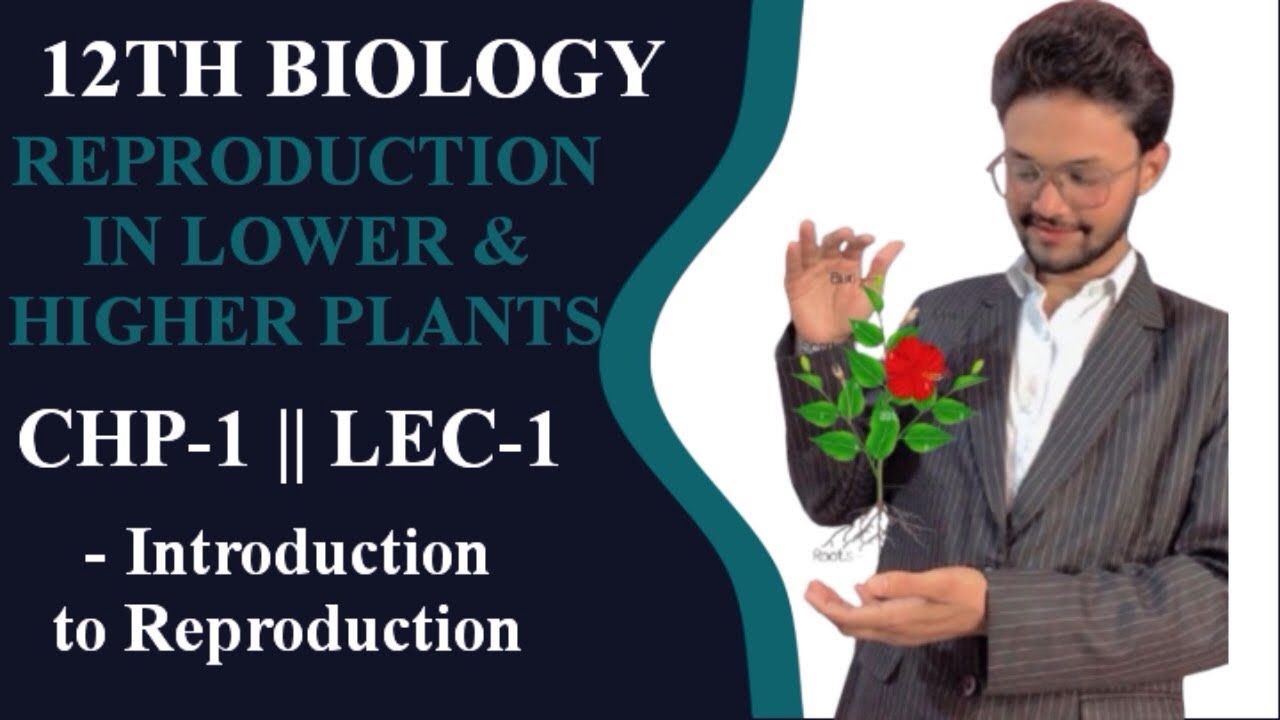 12 BIOLOGY || REPRODUCTION IN LOWER & HIGHER PLANTS || CHP-1 || LEC-1 || MAHARASHTRA BOARD