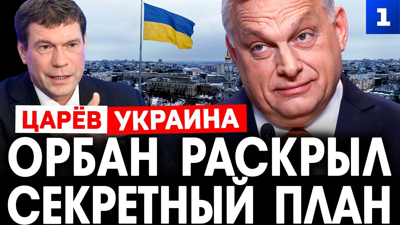 Царёв: Орбан раскрыл секретный план